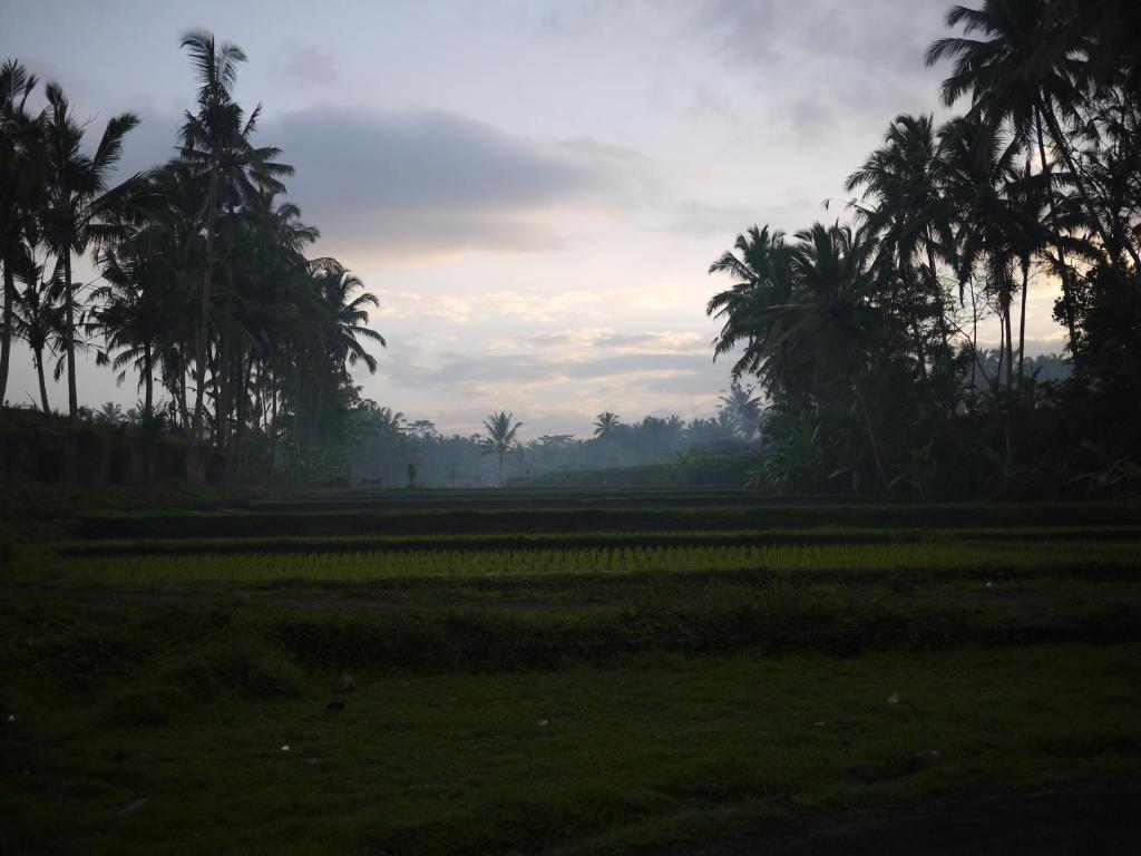 Villa Ibu Rama Ubud Denpasar Dış mekan fotoğraf