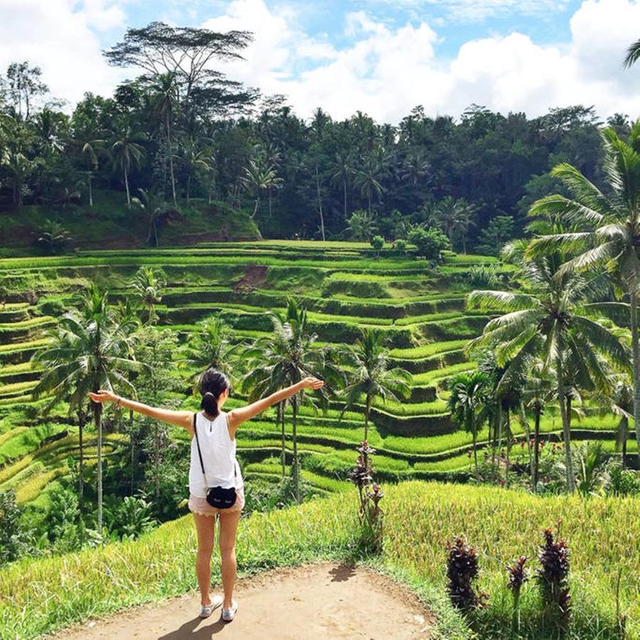 Villa Ibu Rama Ubud Denpasar Dış mekan fotoğraf