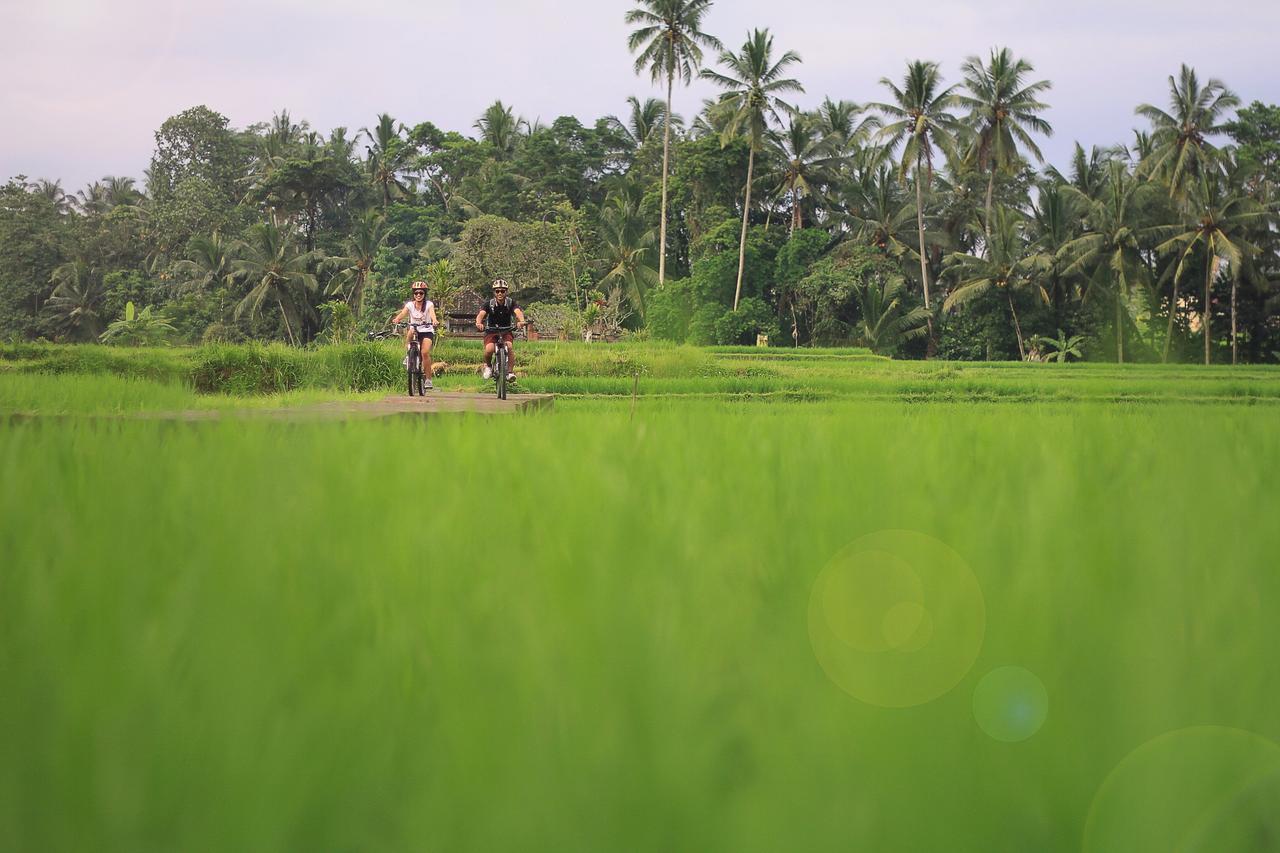 Villa Ibu Rama Ubud Denpasar Dış mekan fotoğraf