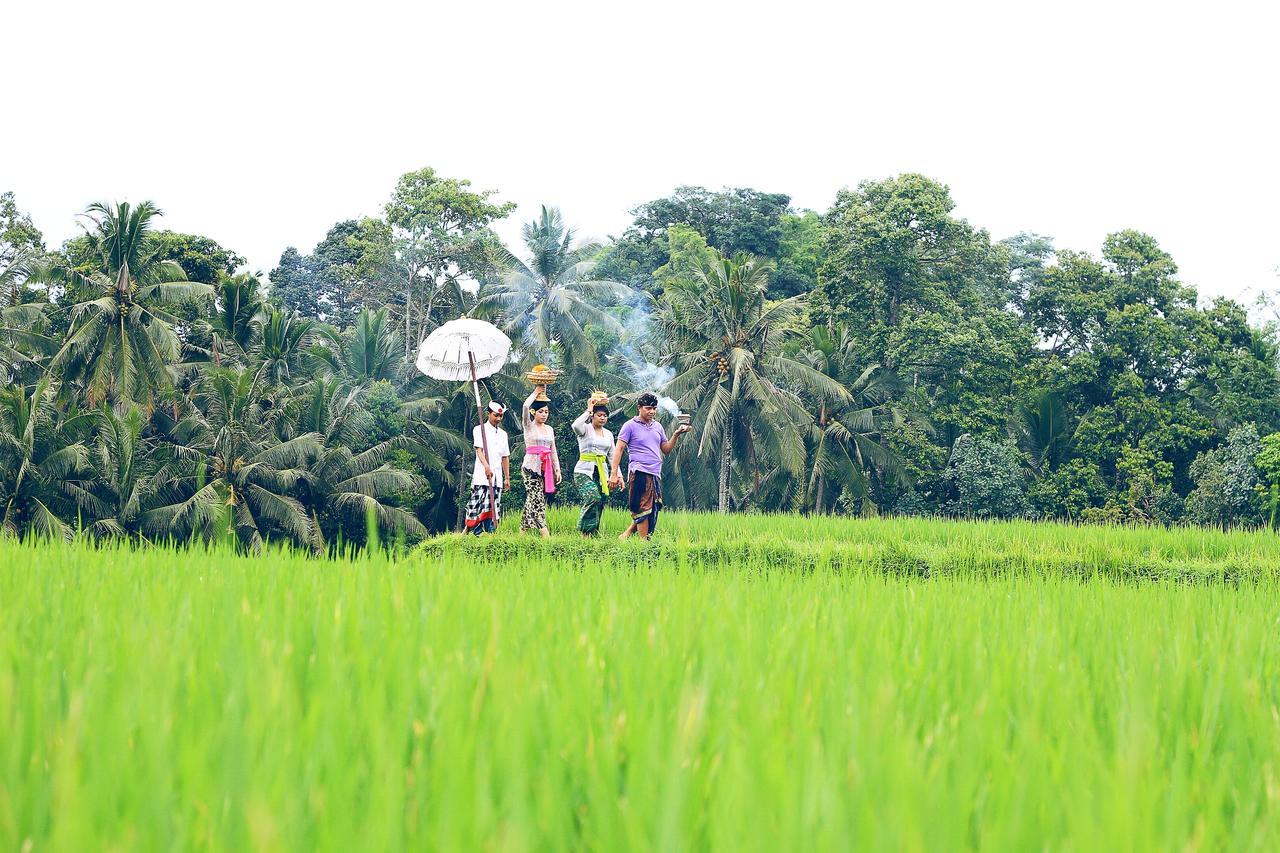 Villa Ibu Rama Ubud Denpasar Dış mekan fotoğraf