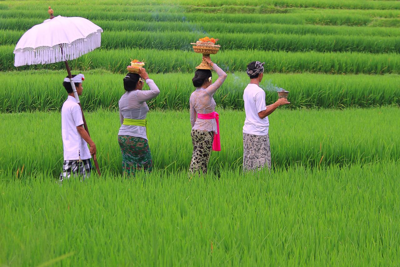 Villa Ibu Rama Ubud Denpasar Dış mekan fotoğraf